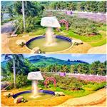 Nghệ An: “Cung đường hoa Phủ Quỳ” điểm đến của mọi cung bậc cảm xúc trước thiên nhiên